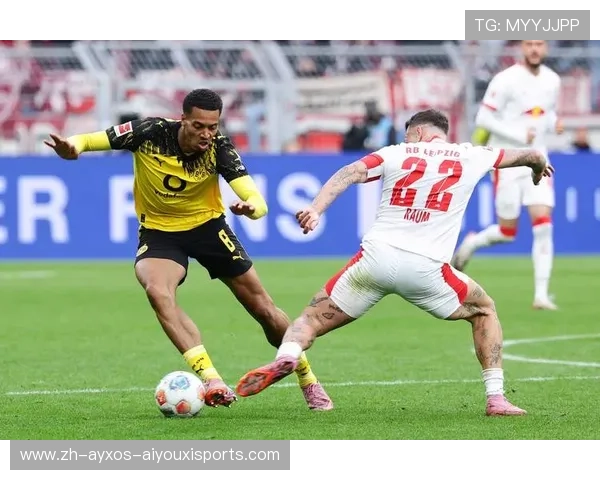 莱比锡德甲足球队详细资料